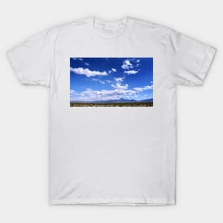 Mt. Charleston - Nevada T-Shirt